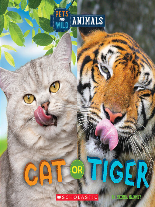 Title details for Cat or Tiger by Brenna Maloney - Available